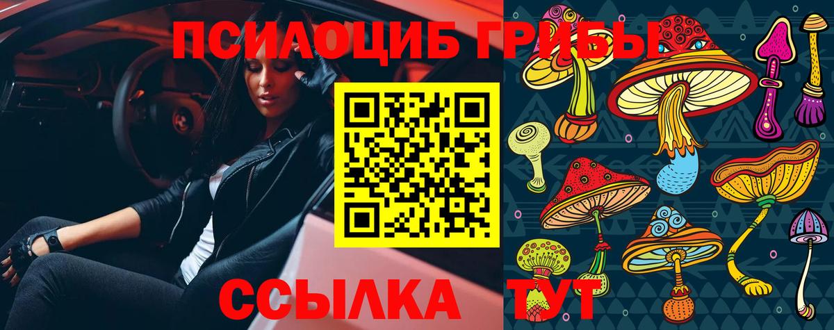Галлюциногенные грибы мухоморы  Вход с VPN  Спасск-Дальний 